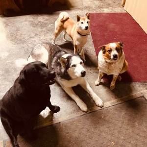 Meet your Posher, Barb